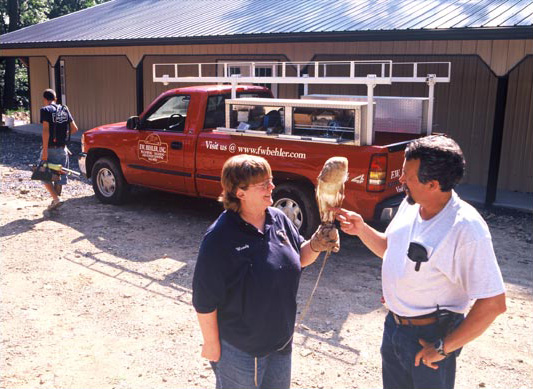 Photograph of work performed for rehabitat11.jpg