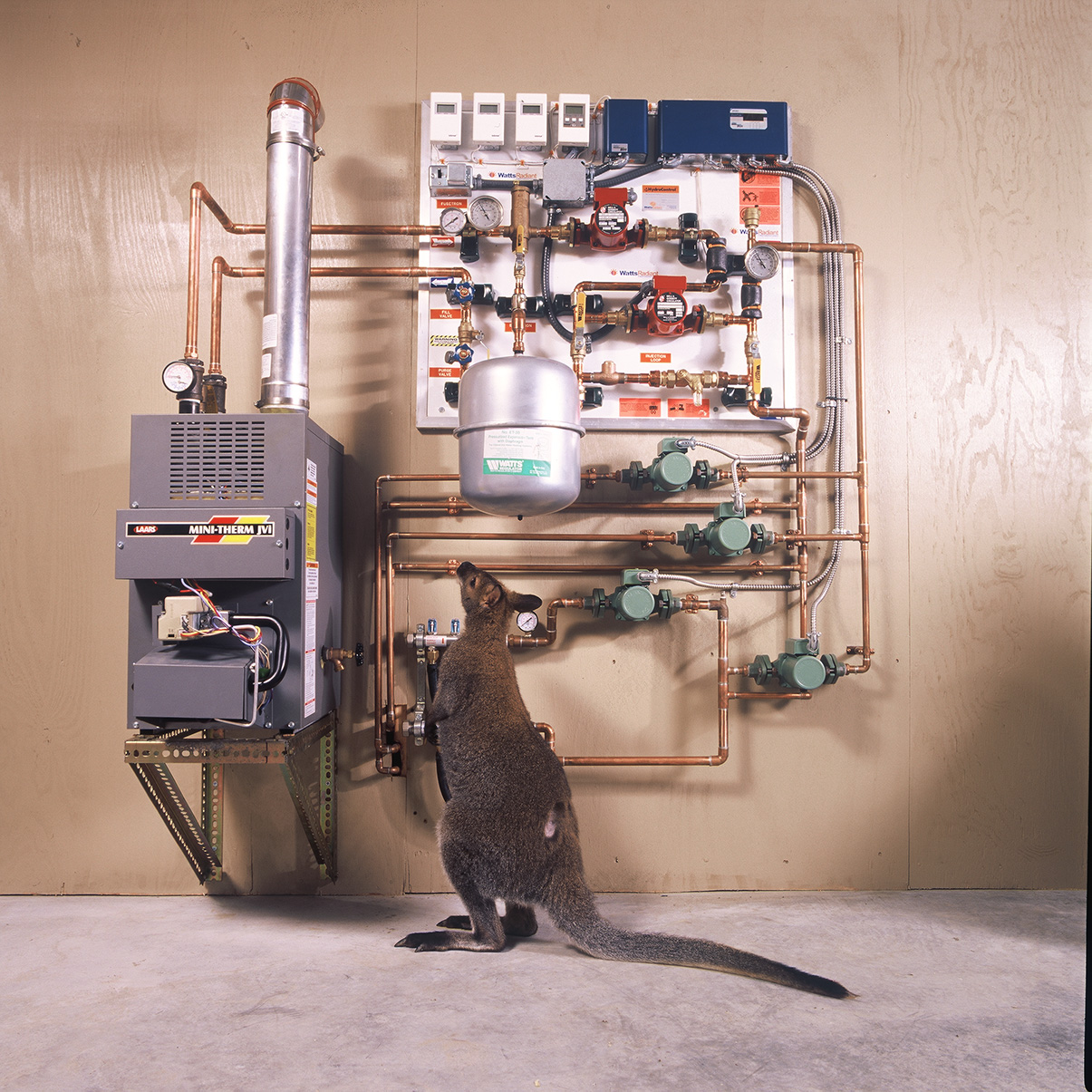 Photograph of work performed for rehabitat9.jpg